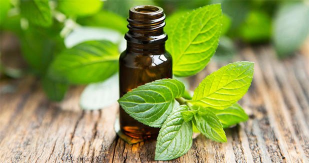 Aromatherapeutic Grade Essential Oils - Beach Bum Naturals Skincare