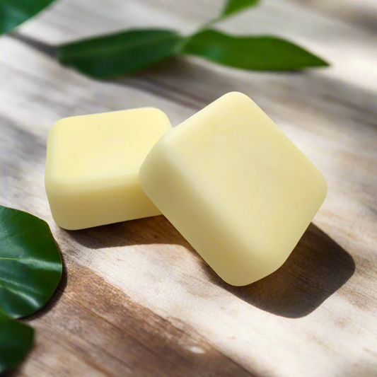 Beach Bum - Luxe Lotion Bar