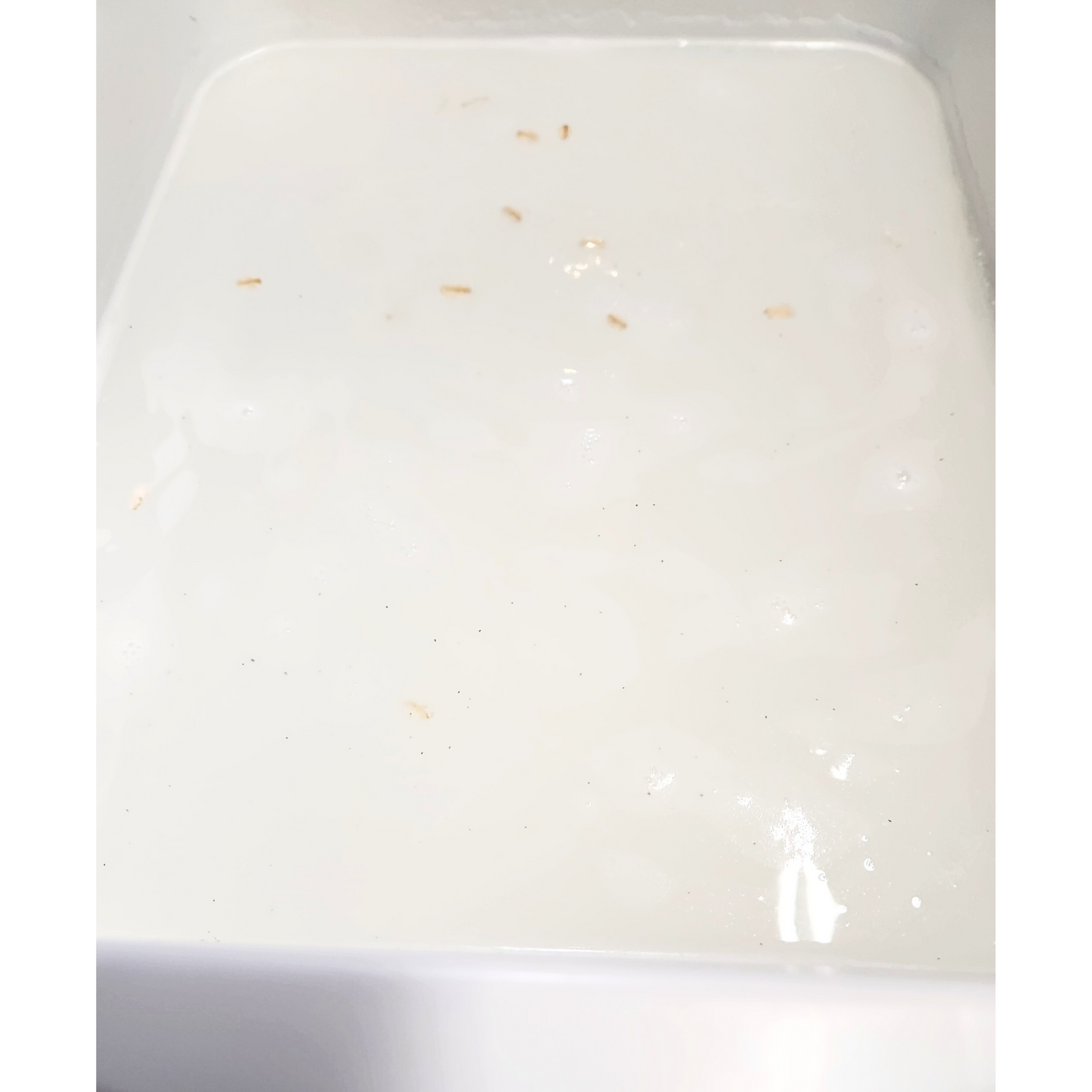 Oatmeal & Milk - Bath Bomb