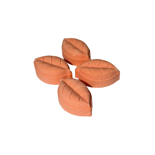 Orange + Clove - Shower Steamer