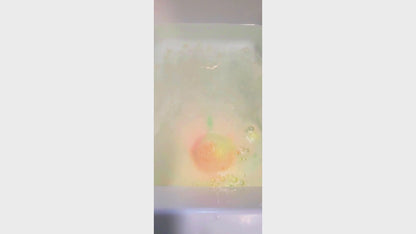 Pineapple Mango - Bath Bomb